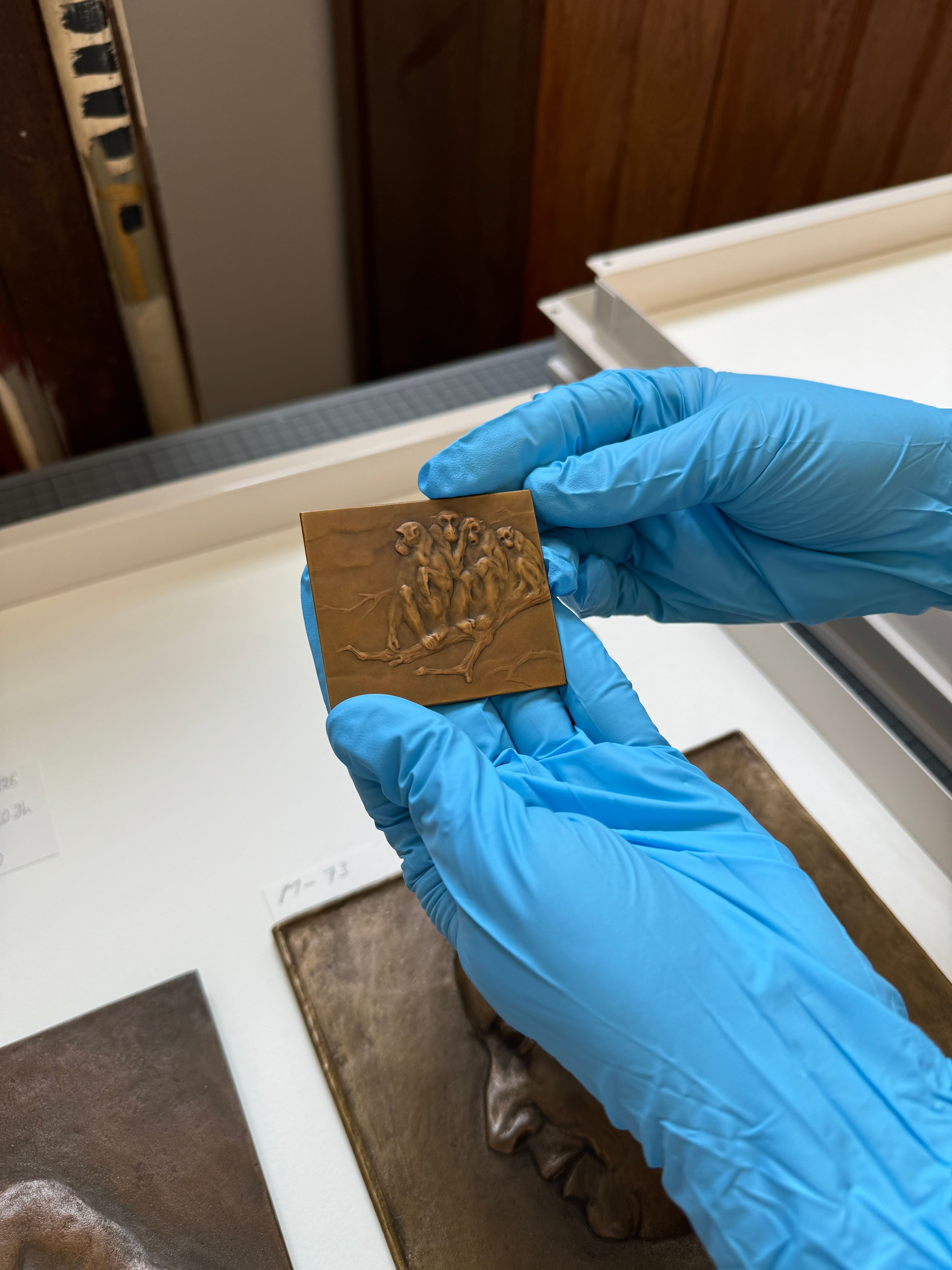 Begutachtung der Objekte_hier Paul Jouve_VG BildKunst anfragen.jpeg